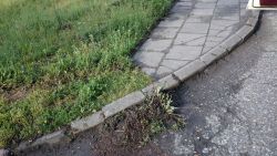 zamkowa oczyszczanie chodników z przerastajacych traw
